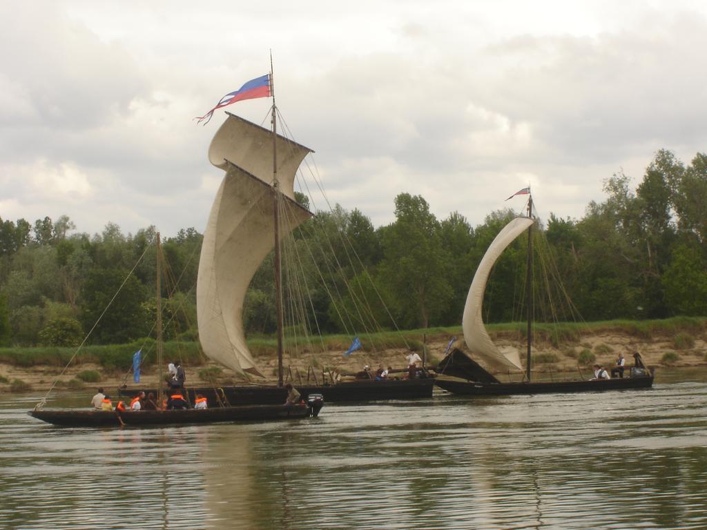 Veuves Les Bords De Loire 아파트 객실 사진