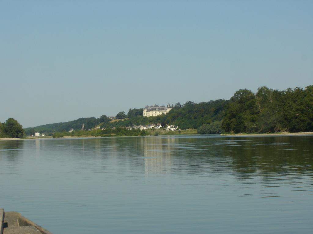 Veuves Les Bords De Loire 아파트 객실 사진